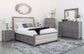 Robina Upholstered Horizontal Panel Storage Bed
