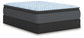 Destin Cove PT Full Mattress