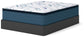 Limited Edition Plush PT 3.0 Queen Mattress