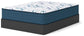 Limited Edition Firm 3.0 Queen Mattress