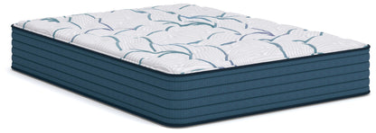 Limited Edition Plush 3.0 Queen Mattress