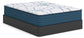 Limited Edition Plush 3.0 Queen Mattress